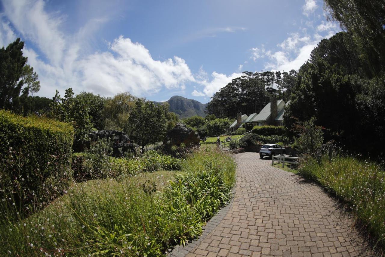 Strelitzia Cottage Cape Town Dış mekan fotoğraf