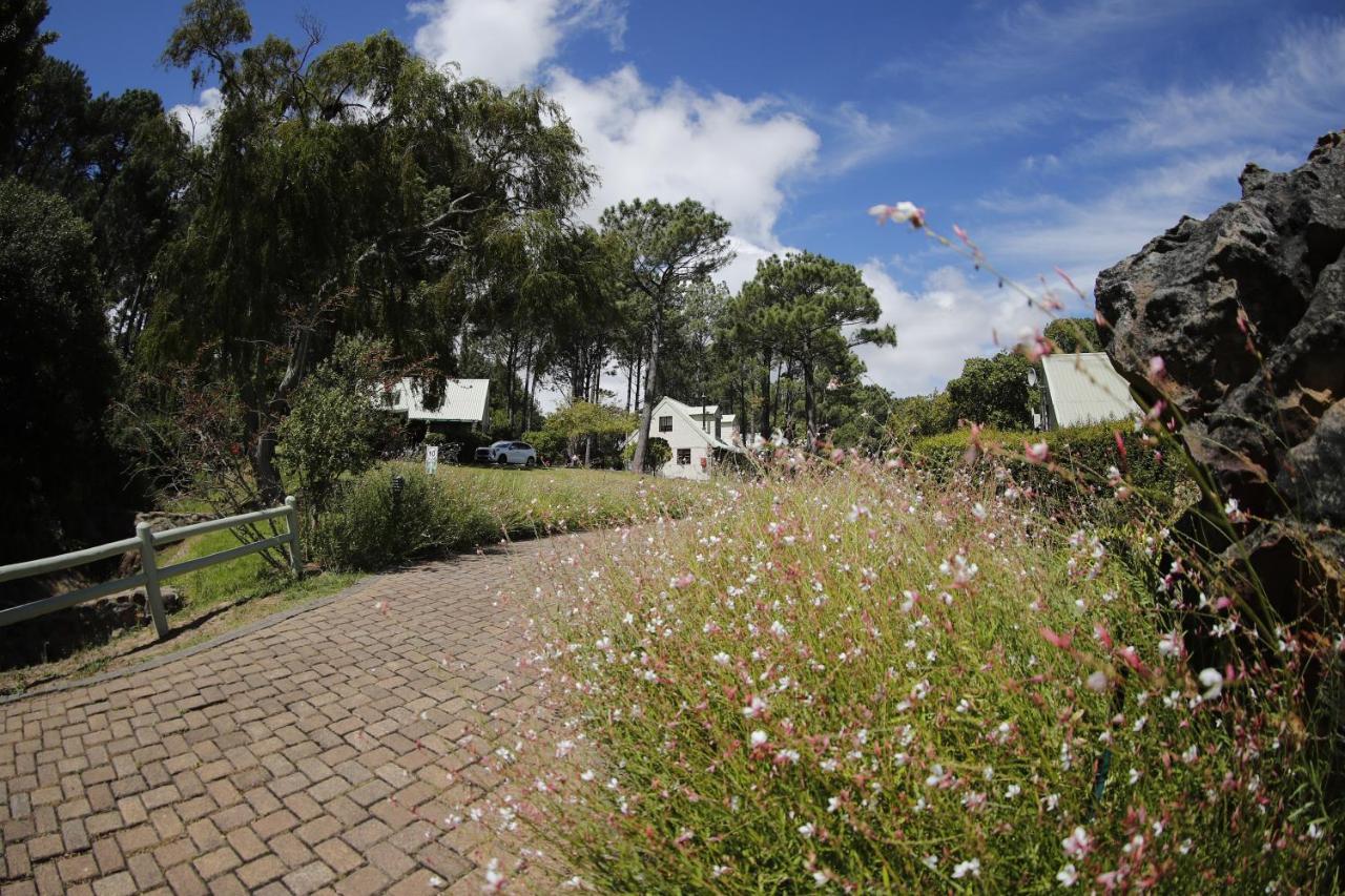 Strelitzia Cottage Cape Town Dış mekan fotoğraf